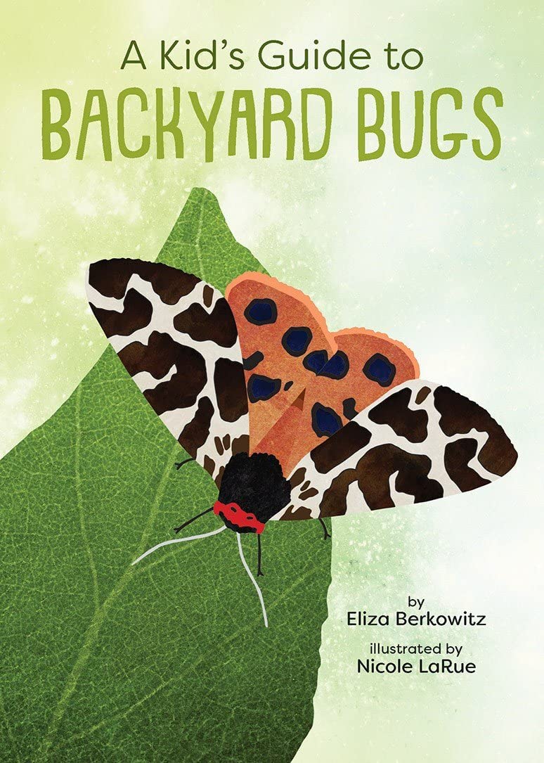 Kids Guide To Backyard Bugs