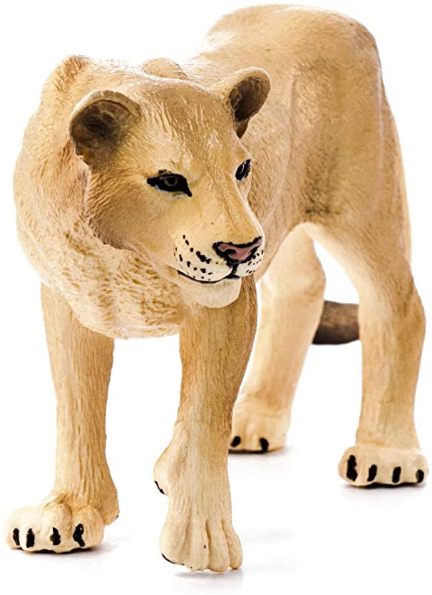 Lioness