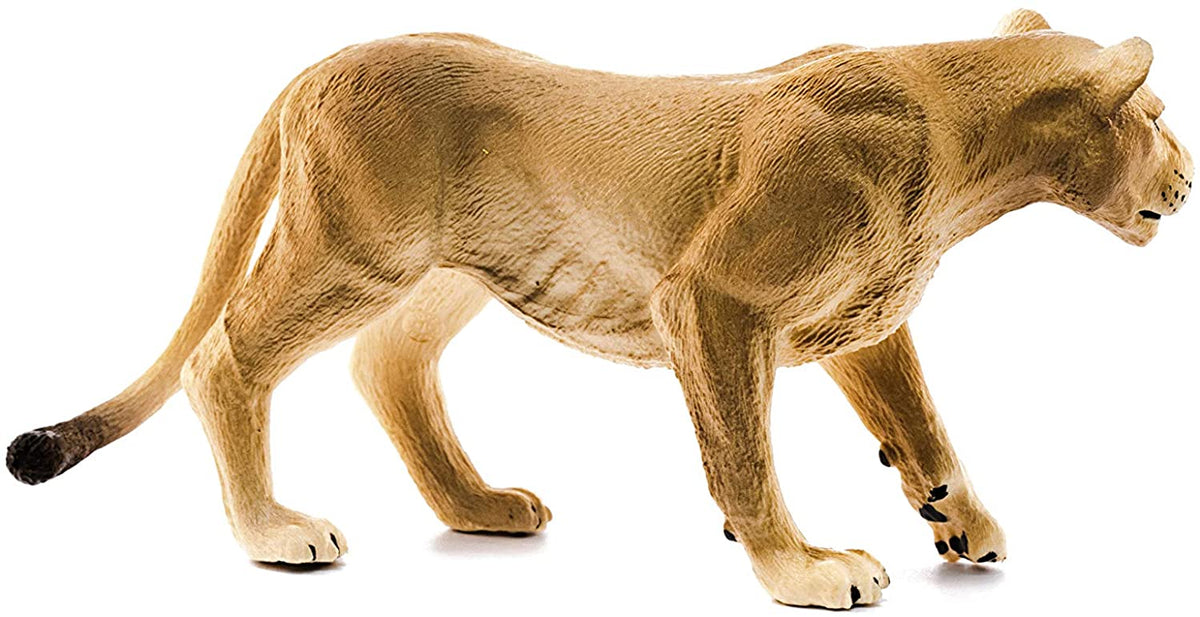 Lioness