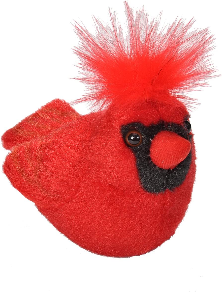 Audubon Bird - Northern Cardinal