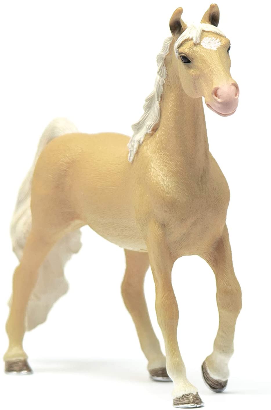 American Saddlebred Mare