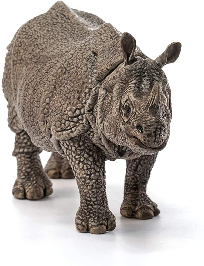 Indian Rhinoceros