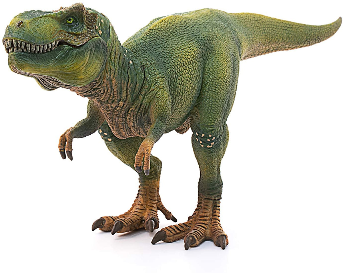 Tyrannosaurus Rex
