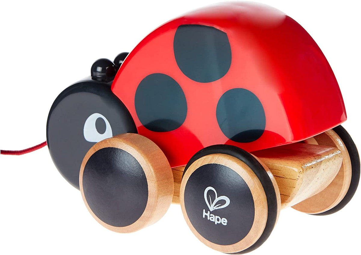 Pull Along Ladybug