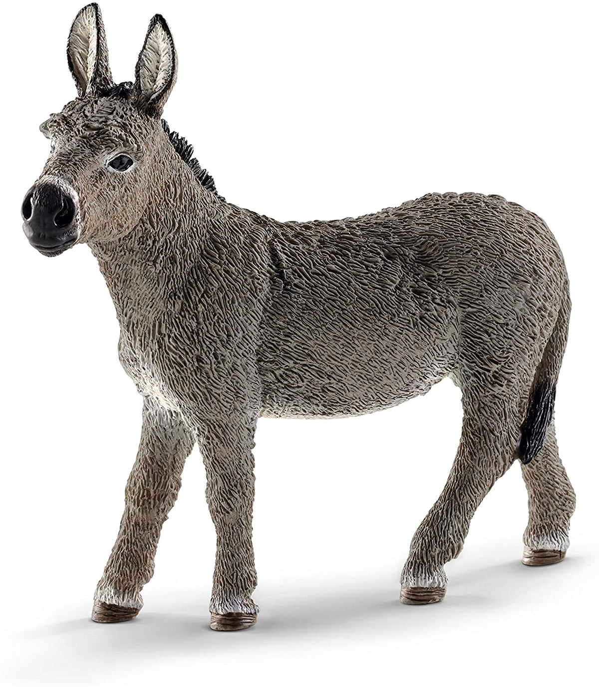 Donkey