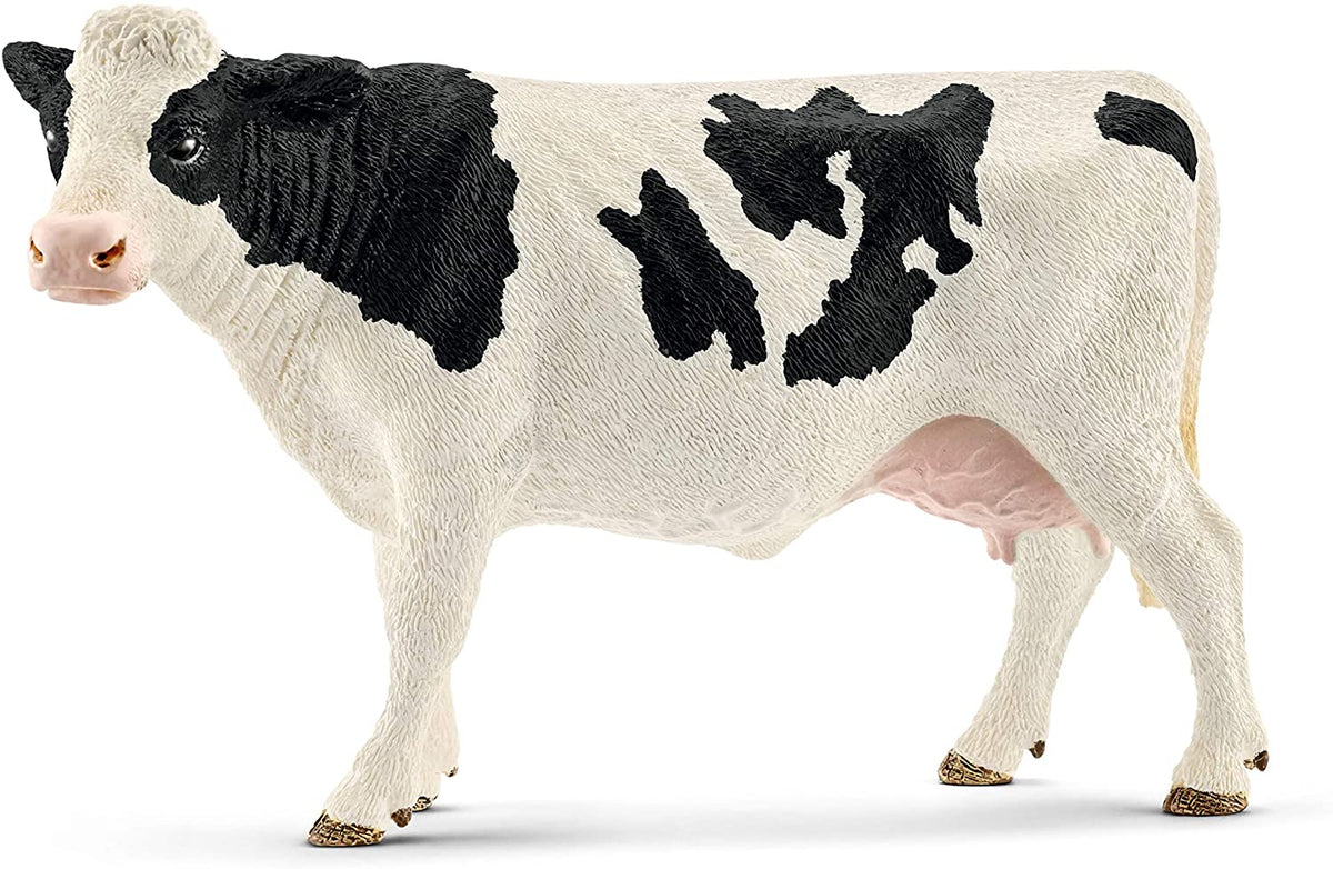 Holstein Cow