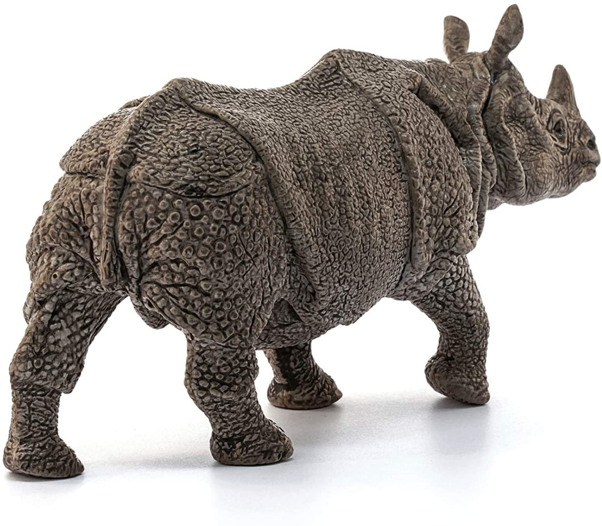 Indian Rhinoceros