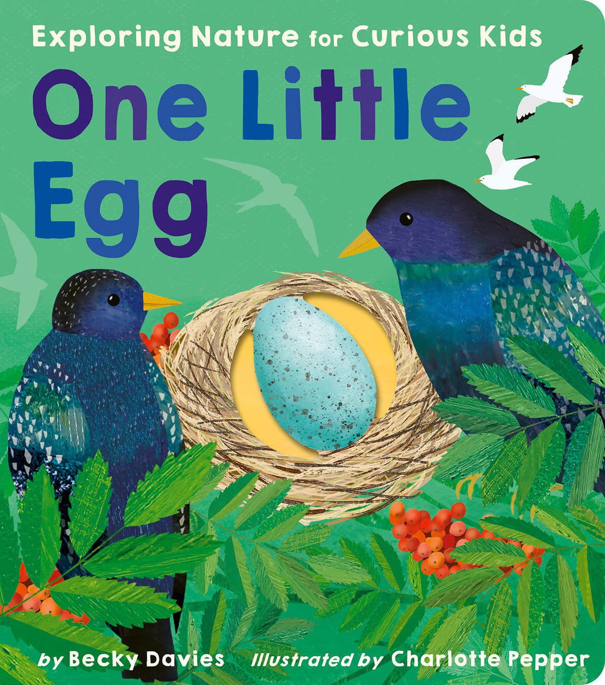 Exploring Nature for Curious Kids: One Little Egg