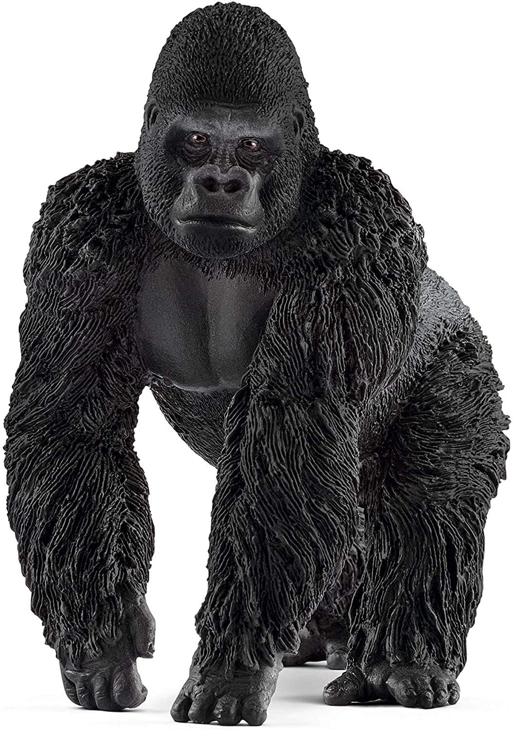 Gorilla Male