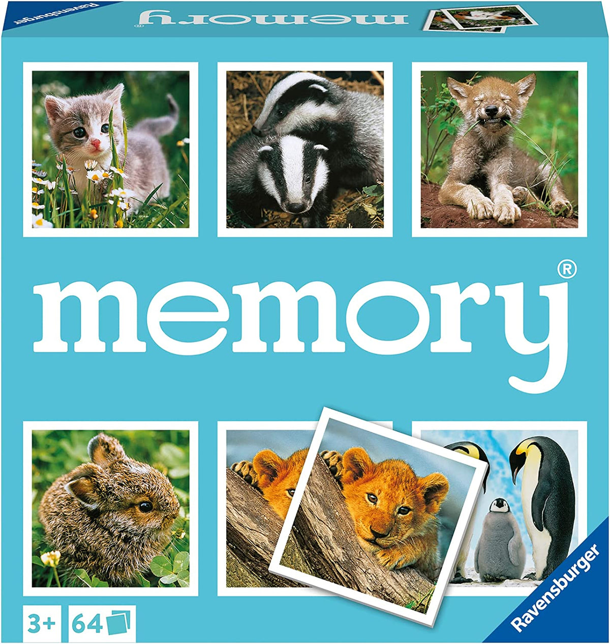 Animal Babies Memory