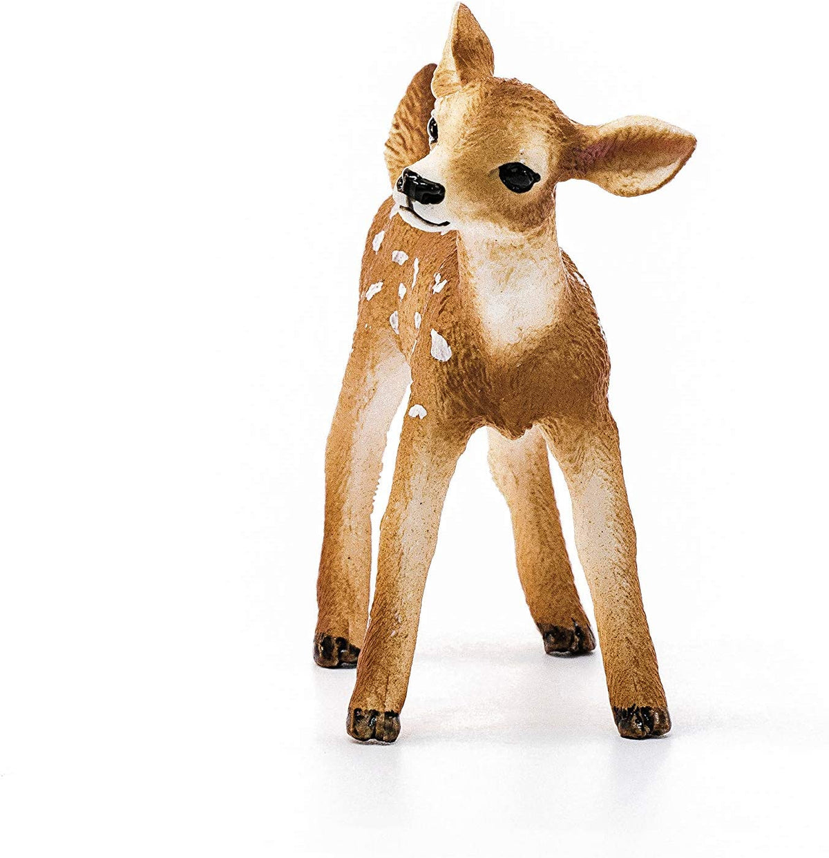 White-Tailed Fawn