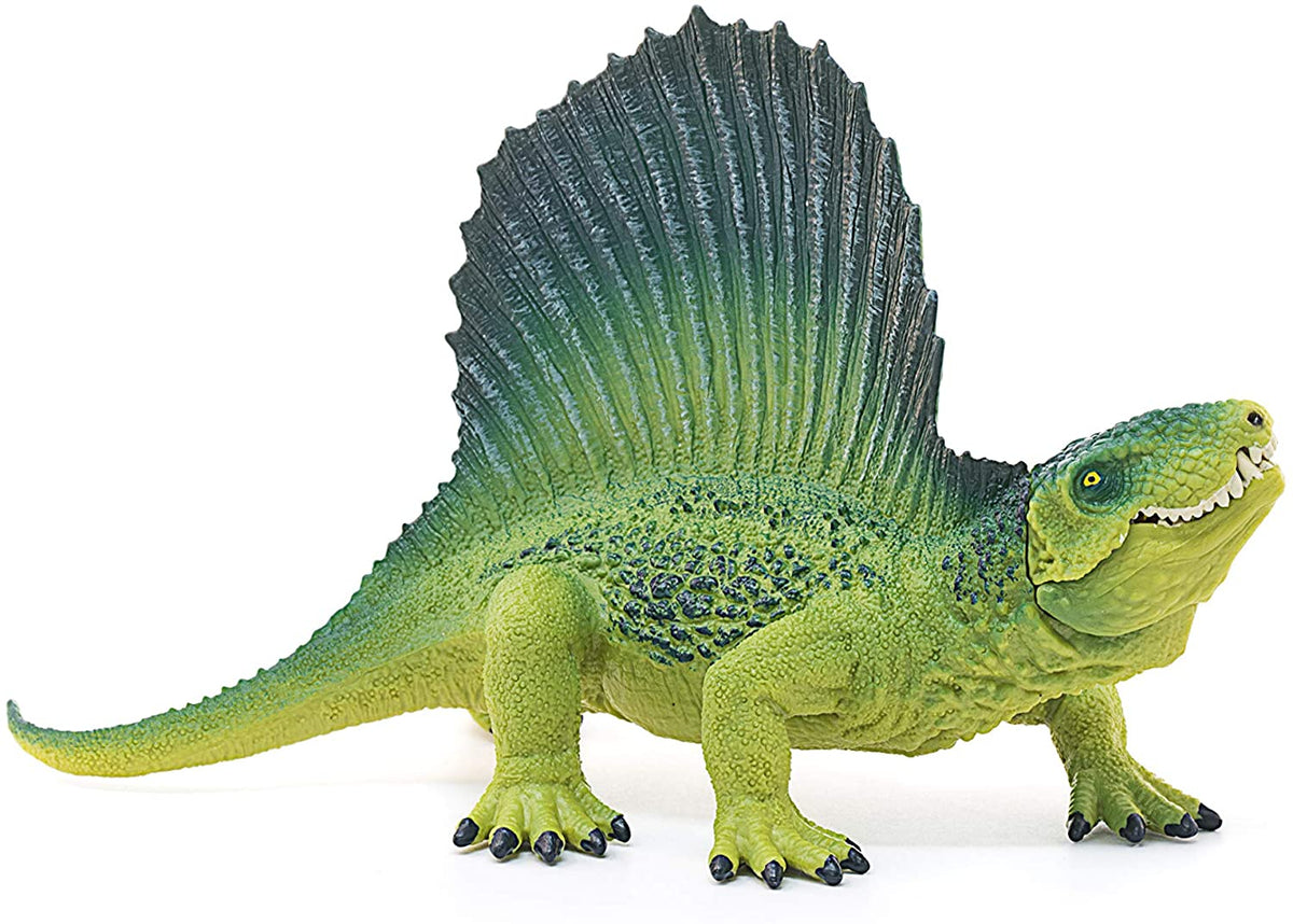 Dimetrodon