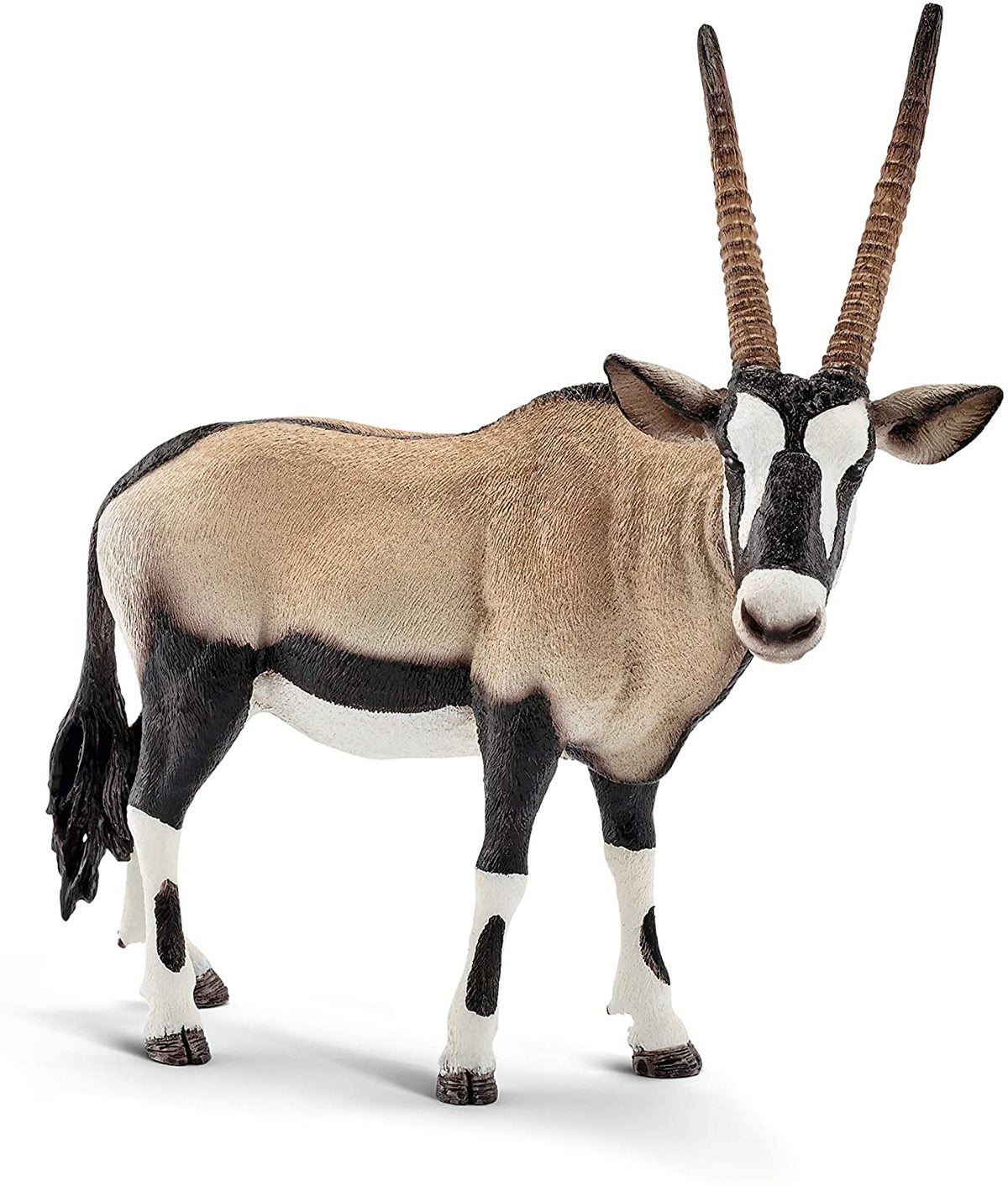 Oryx