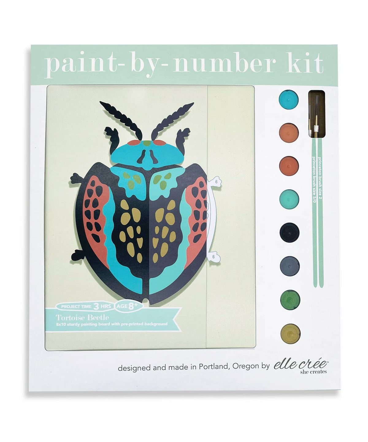Kid&#39;s Paint by Number - Tortoise Beetle