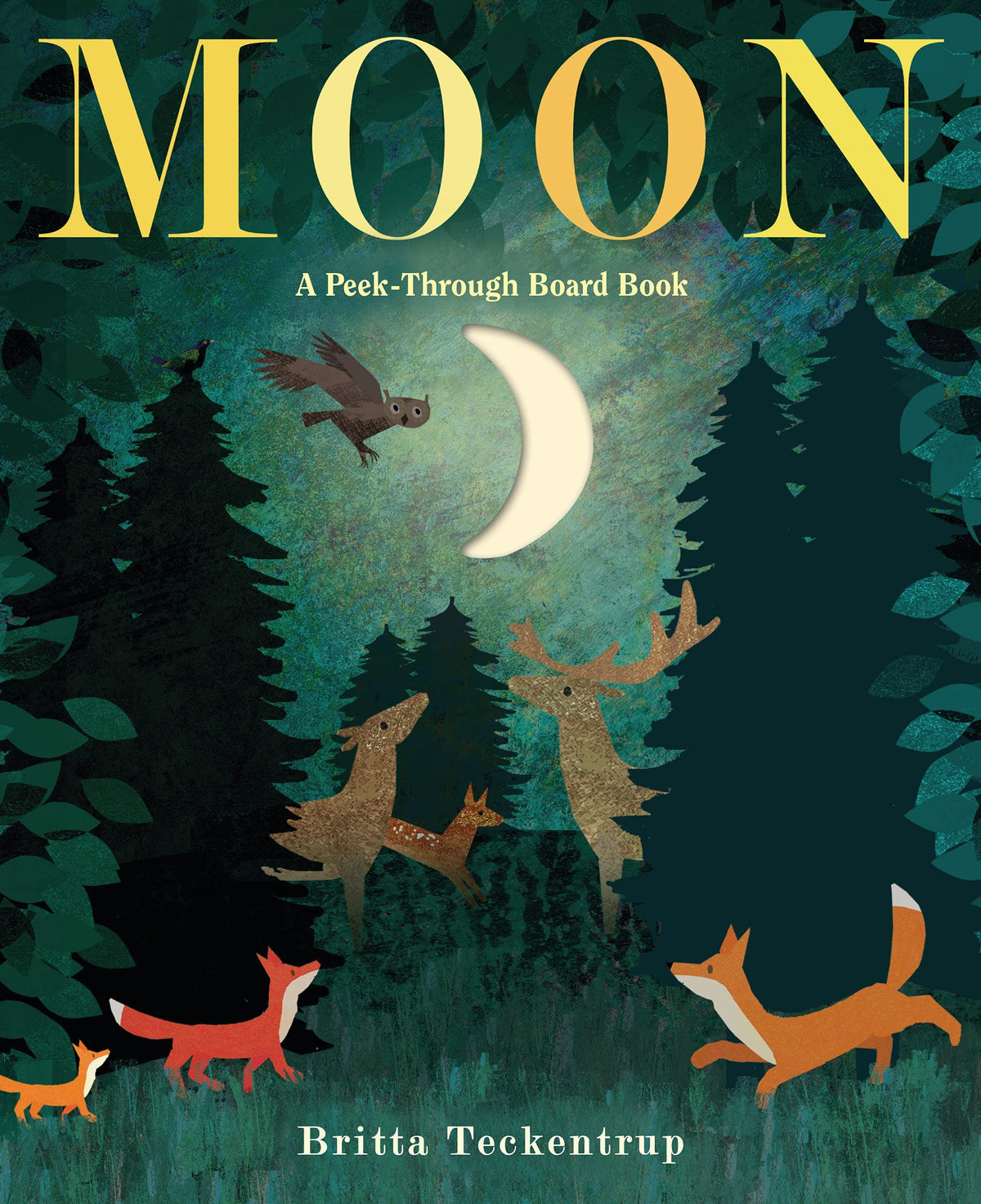 Moon: Peek Through Board Book