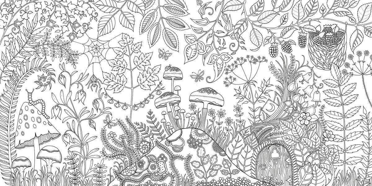 Enchanted Forest Coloring Book