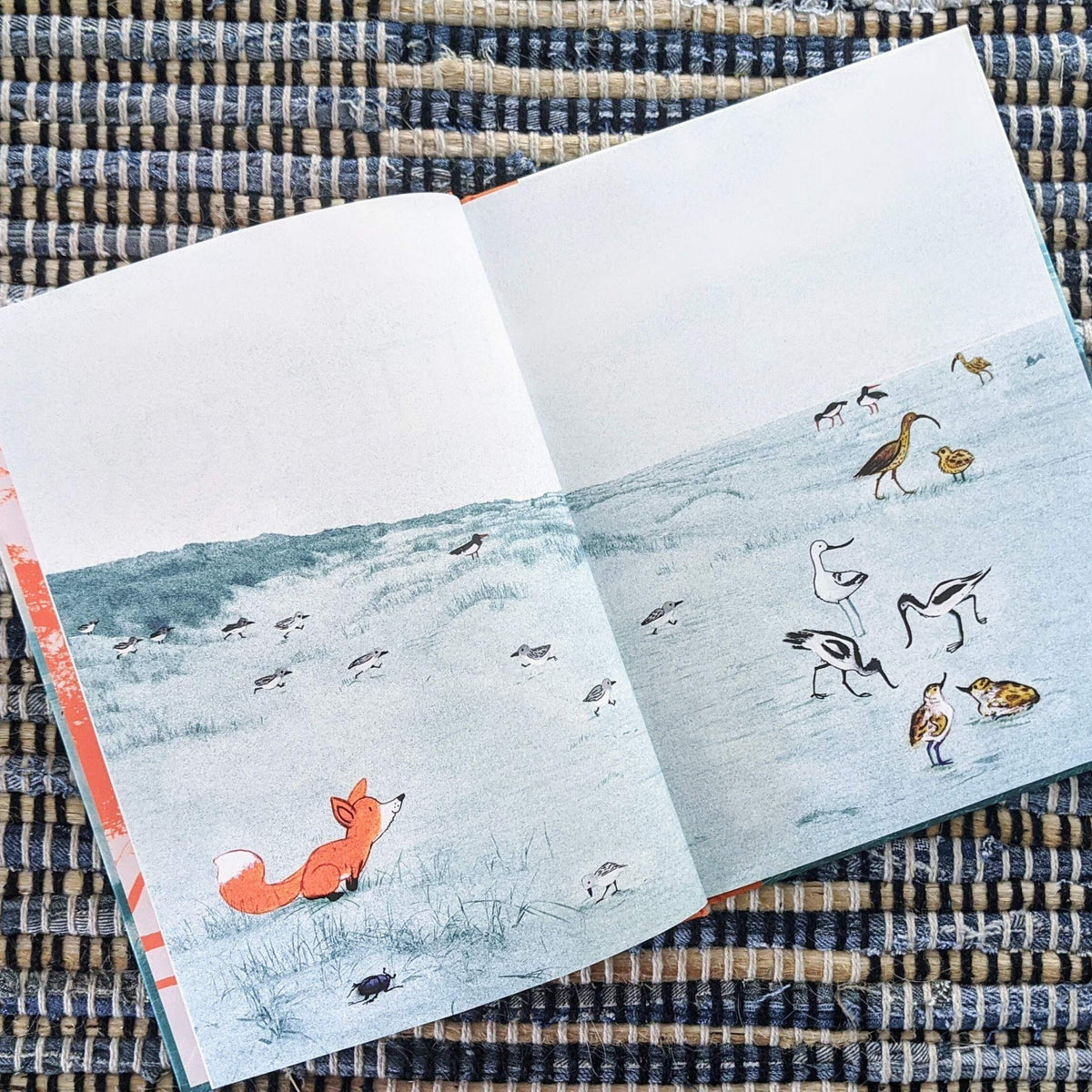 Little Fox Hardcover Book