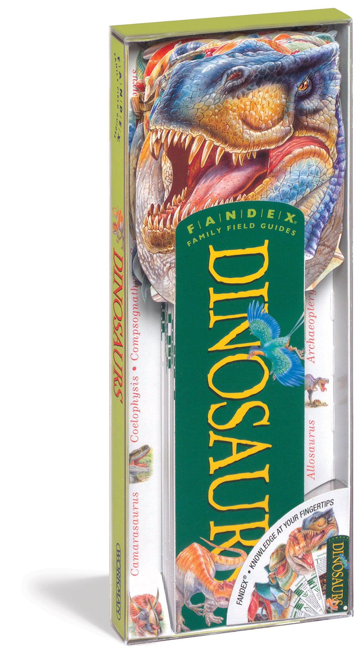 Fandex Family Field Guides: Dinosaurs