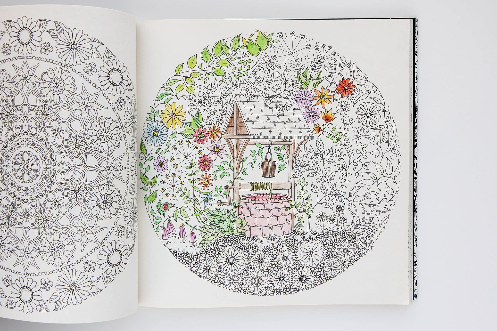 Secret Garden Coloring Book - West Side Kids Inc