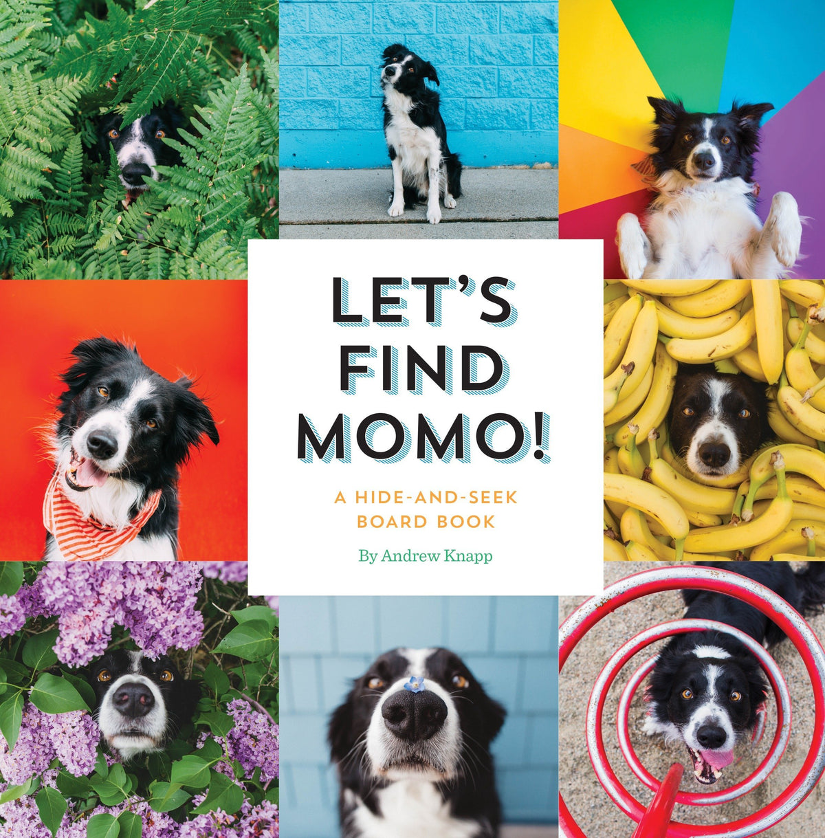 Let’s Find Momo! A Hide and Seek Book