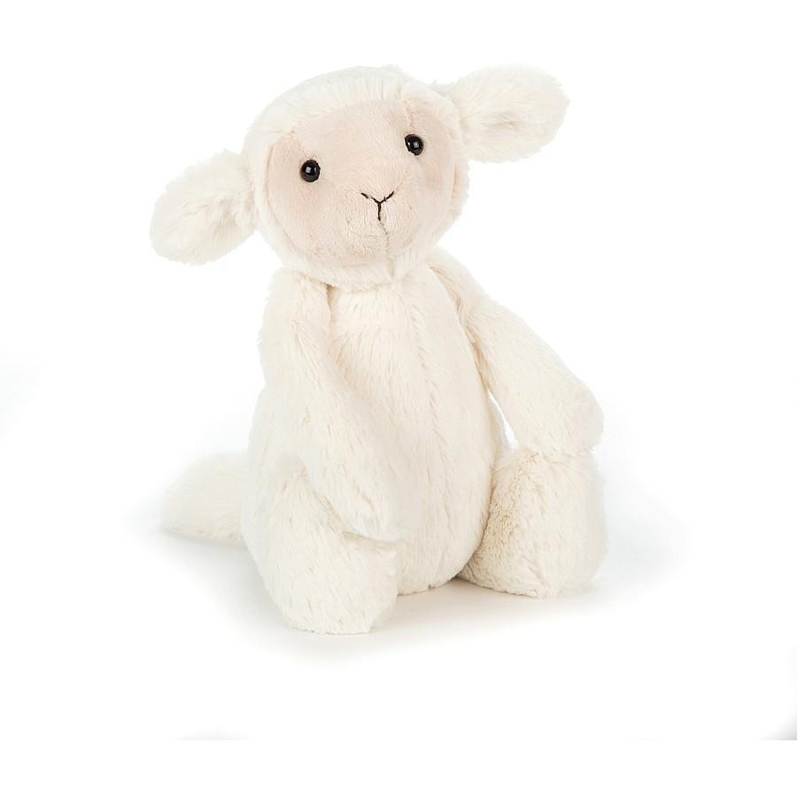 Bashful Lamb