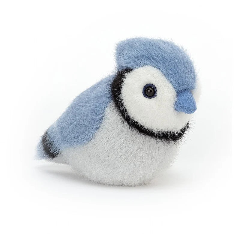 PLU JEL BIRDLING BLUEJAY