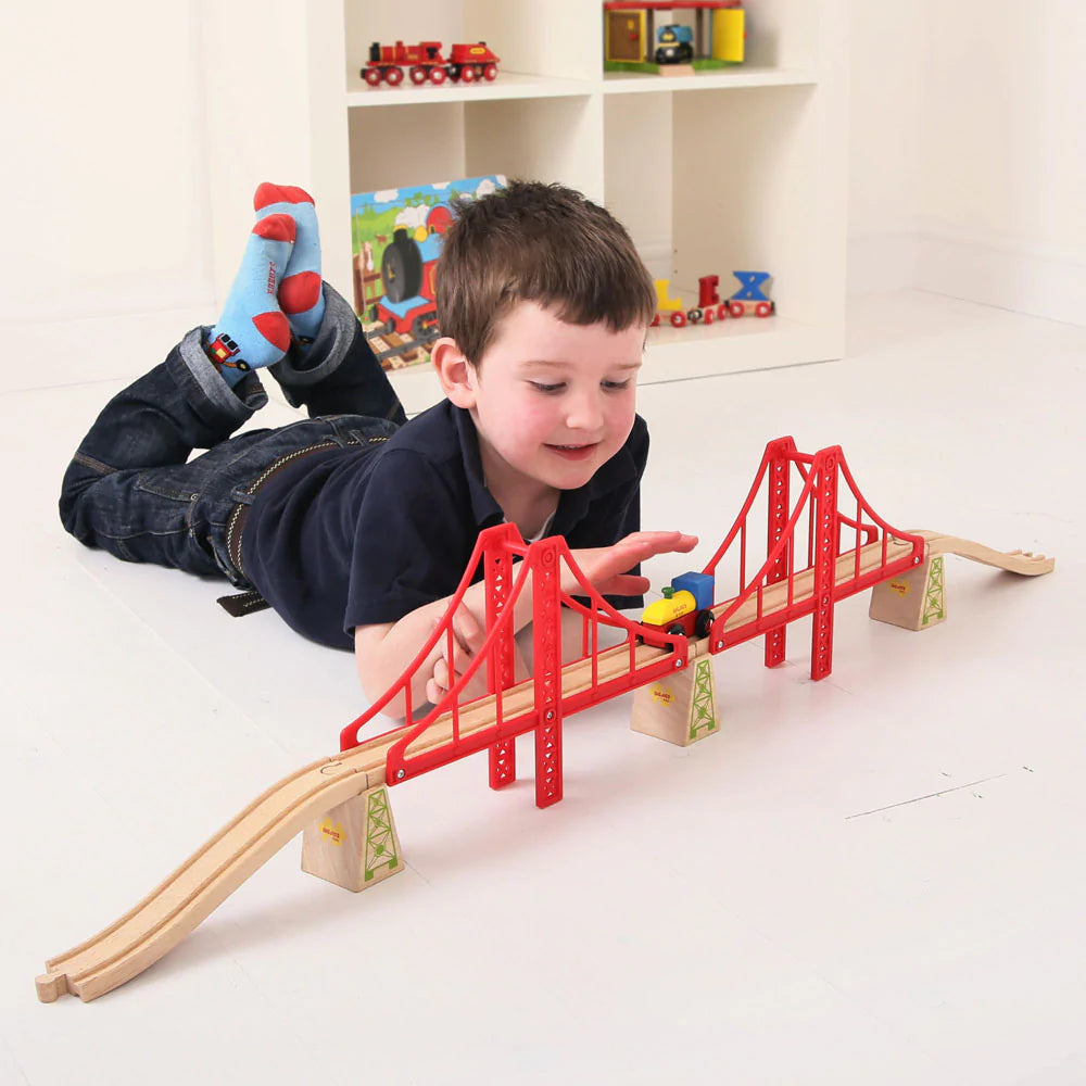 Double Suspension Train Bridge