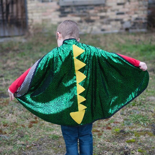 Dragon Knight Reversible Cape; Green &amp; Silver