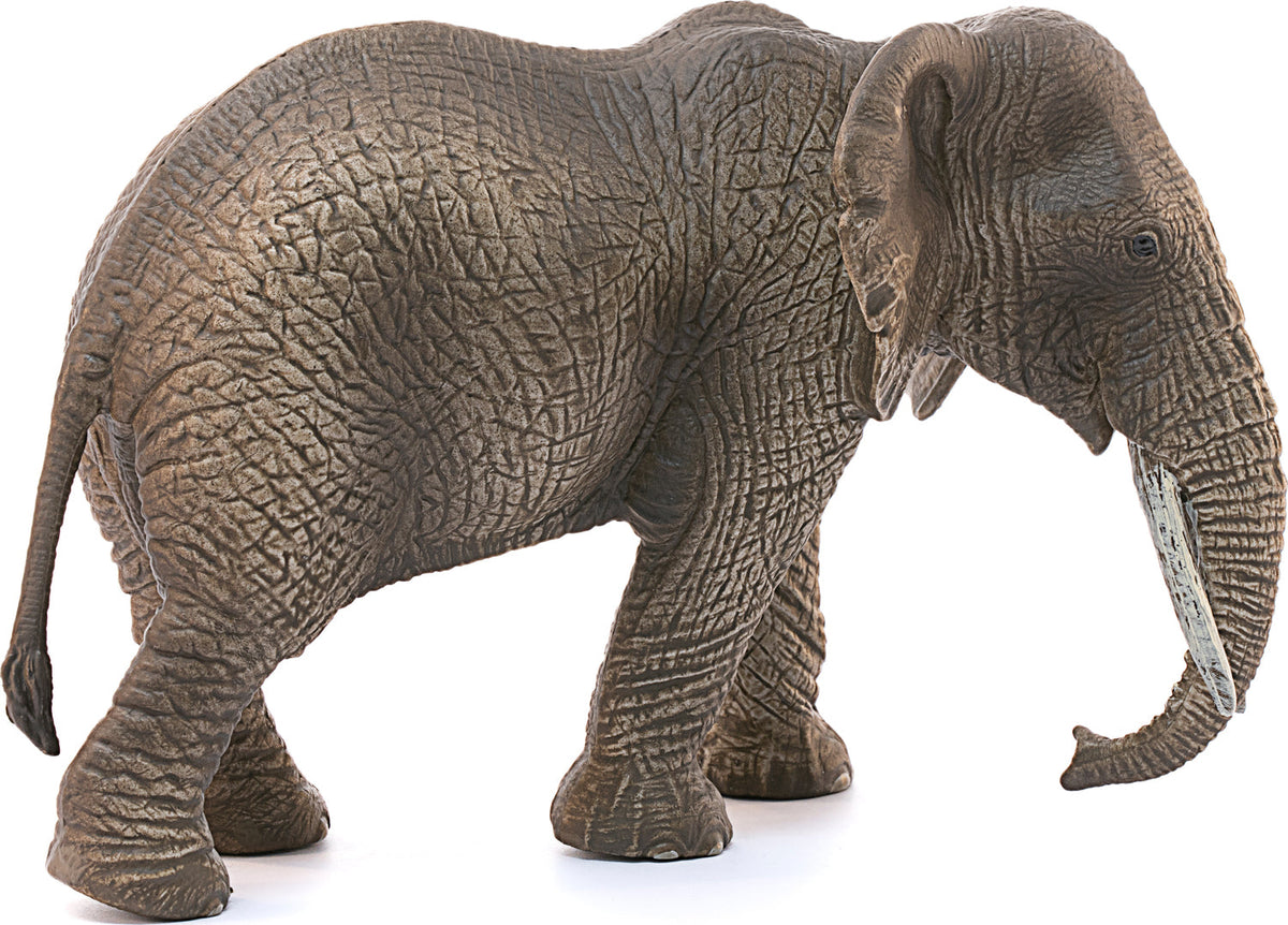 African Elephants