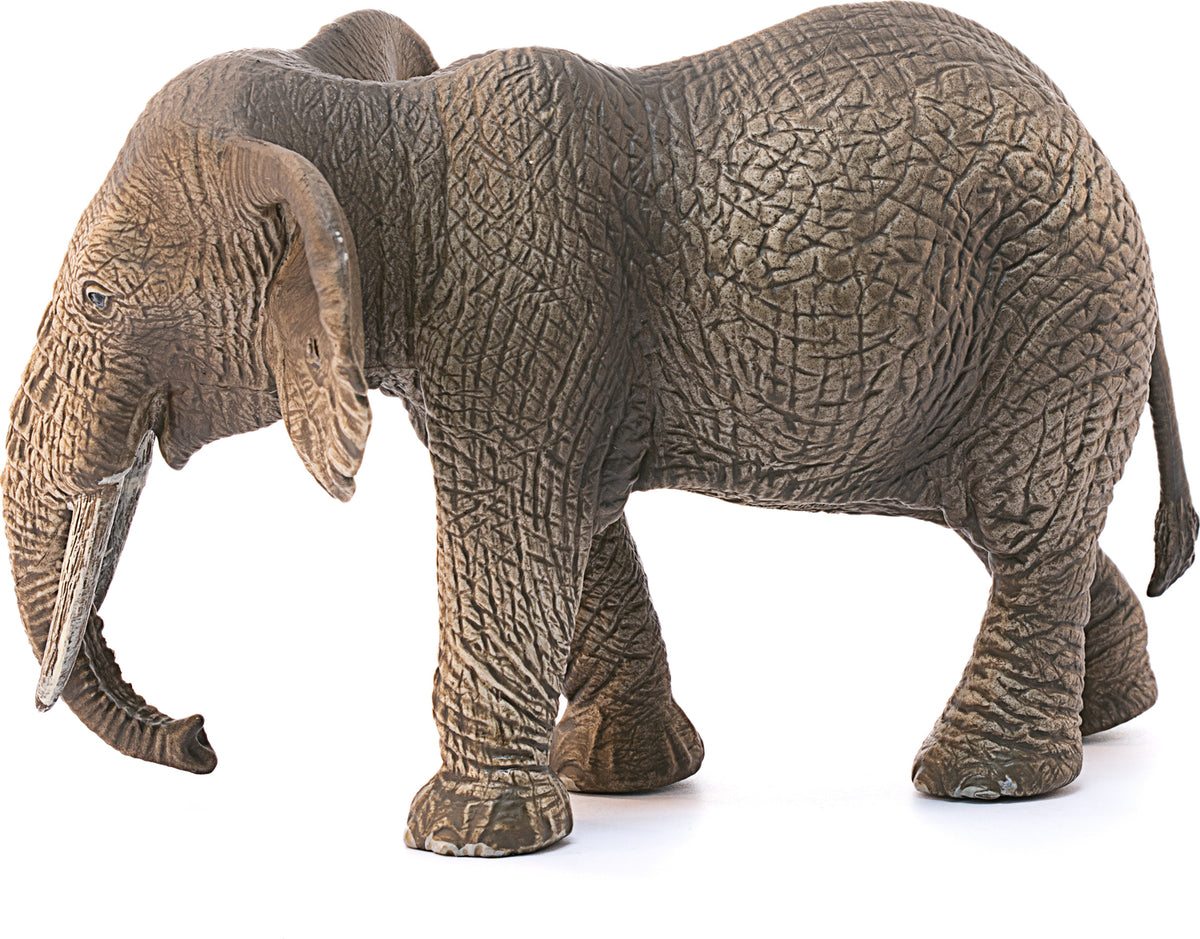 African Elephants