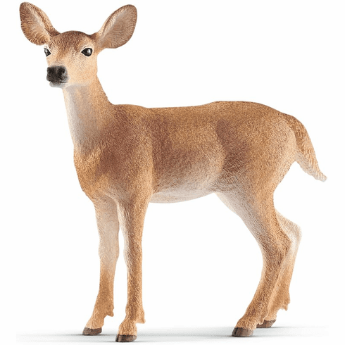 White-Tailed Doe